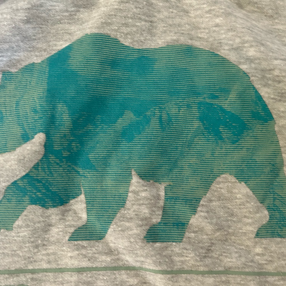The Noth Face 70/30 Hoodie Sweatshirt gray bear graphic M